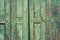 Wooden rustic background with old green planks. Vintage door detail