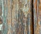 Wooden Rustic Wall. Turquoise Crackle Surface.