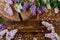 The wooden saw with a beautiful crack in it, surrounded by a scattering of lilac flowers of different shades.