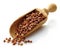 Wooden scoop with buckwheat