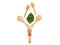 Wooden scoop and spoon and green leaf, natural wooden utensils Eco-environmentally friendly