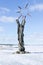 A wooden sculpture Birth of Sun on the embankment of Lake Onega in the clear winter day, Petrozavodsk, Russia