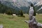 The wooden sculpture of an owl, cows grazing on the Vallunga path, the long valley of Selva Val Gardena in the background