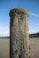 Wooden Sea Groyne