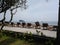 Wooden seaside deck with lounge chairs