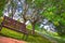 Wooden seat in the shade of green trees at late summer season. Couple of a yellow leaves are already visible on the grass