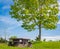 Wooden seat and tree in a summer park. Picnic in the park. Rest in the open area. Wooden picnic table and seats