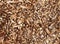 Wooden shavings background pattern