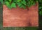 wooden shield, Board, background framed with blackcurrant leaves