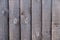 Wooden shiplap fence in garden