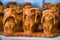 The wooden showpiece of Gandhiji`s three monkeys
