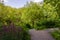 Wooden sidewalk and forked paths in a park with purple flowers