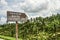 Wooden sign on green rice fields on Bali island