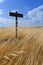 A wooden sign in the middle of a field of dry yellow grass during the summer.