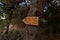 A wooden sign nailed to a tree indicates the direction to the entrance to the Cave Church - Lavra Netofa monastery, near the
