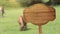 Wooden sign pointer on animated background of meadows and grazing horses, camera movement from left to right