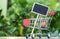 Wooden sign posts and Shopping Cart.