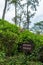 Wooden sign in a tea plantation with text : Silence please