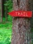 Wooden sign trail in the forest