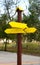 Wooden signpost of bright yellow color decorative