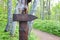 Wooden signposts in the forest. Travel and vacation concept