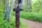 Wooden signposts in the forest. Travel and vacation concept