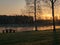 A wooden silhouettes, early spring morning, the first green grass and flowers