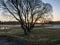 A wooden silhouettes, early spring morning, the first green grass and flowers