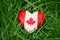 Wooden small heart with red white canadian flag maple leaf lying in grass on green forest nature background