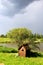 Wooden smokehouse in the farm by the pond. Wooden smokehouse in the countryside