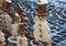 Wooden snow men