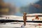 Wooden solitude, lonely figure on a wooden surface, blurred background