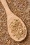 Wooden spoon. Buckwheat porridge. Cereal sprouts. Brown background