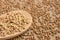 Wooden spoon. Cereal sprouts. Brown background