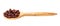 Wooden spoon with dried schisandra fruits isolated