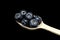 A wooden spoon full of ripe blueberries on the black background. Fresh ripe juicy bilberries.