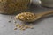 Wooden spoon with oat seeds close up