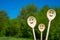 Wooden spoons look like happy family. Smiling faces