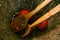 Wooden spoons in osier basket with tomatoes and black and red  berries