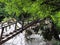 A wooden staircase adjoins huge light boulders covered with moss under dense green trees. Canyon white cliffs. A tourist