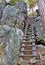 Wooden staircase for climbing in the rocky forests of Bohemian Paradise3