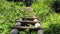 Wooden staircase in dense foliage. overgrown ladder made of wood. beautiful landscape in the park