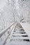 Wooden staircase going up and covered in snow. Stairs going trough a snowy forest with snow covered deciduous trees like birch