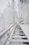 Wooden staircase going up and covered in snow. Stairs going trough a snowy forest with snow covered deciduous trees like birch