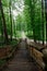 Wooden staircase hiking road Sonian woods forest, Brussels, Belgium