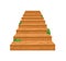 Wooden staircase leading up with sprouted greenery. Cartoon staircase for a castle or an old house. Steps up. Vector