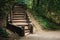 Wooden staircase in the Park with green trees in Moscow. Stairs leading up. Hiking in Neskuchny garden in Moscow. Stairs to
