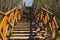 Wooden staircase in the park. stairs made from the wood in the forest