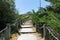 Wooden staircase path access to the beach  on a bright summer day in Isle de Noirmoutier in VendÃ©e France