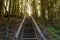 Wooden staircase in the woods, summer